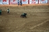 2017-07-10, 460, Calgary Stampede, AB, Youth Wild Pony