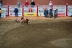 2017-07-10, 462, Calgary Stampede, AB, Youth Wild Pony