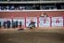 2017-07-10, 472, Calgary Stampede, AB, Youth Wild Pony
