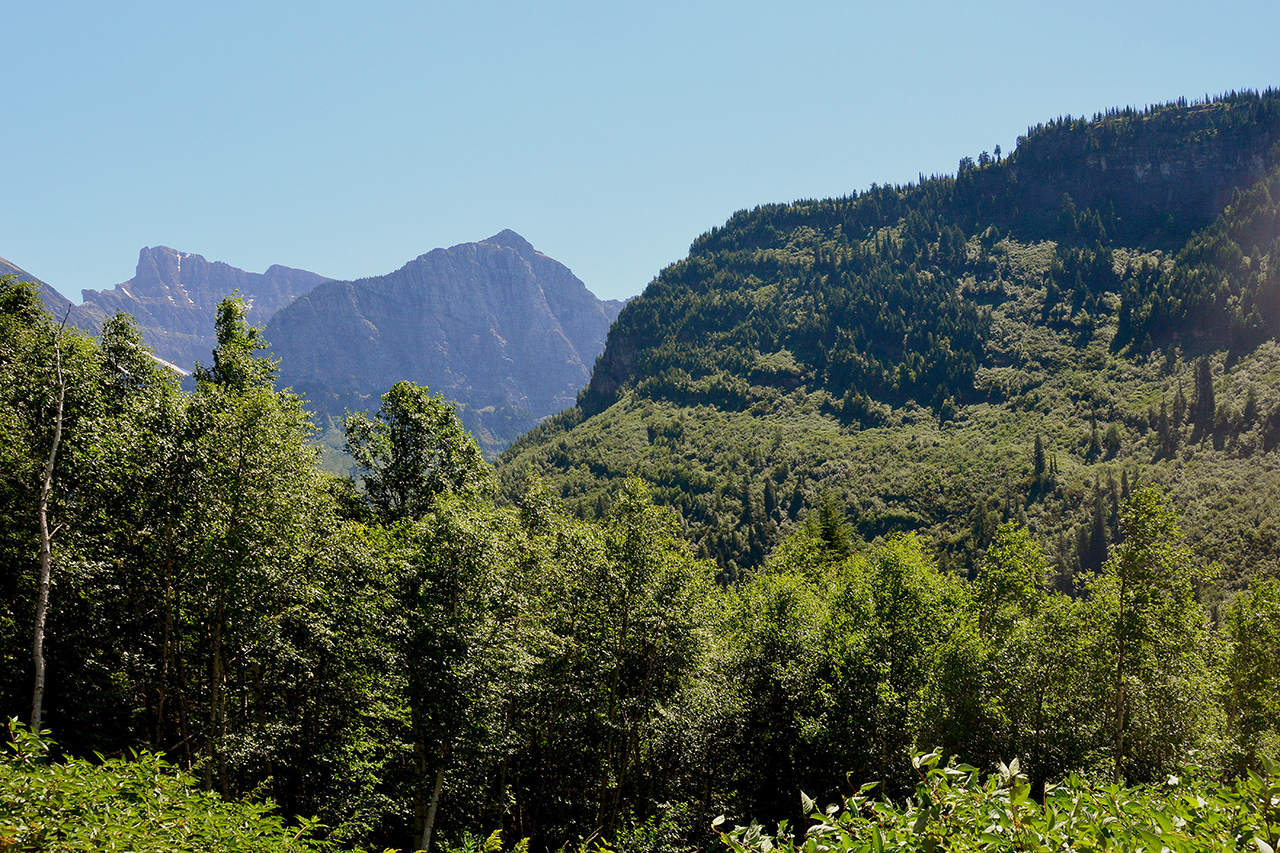2017-07-13, 012, Glacier National Park, Sun Road