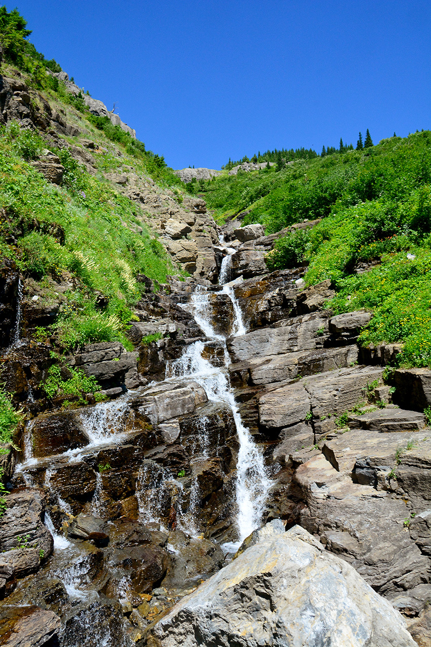 2017-07-13, 019, Glacier National Park, Sun Road
