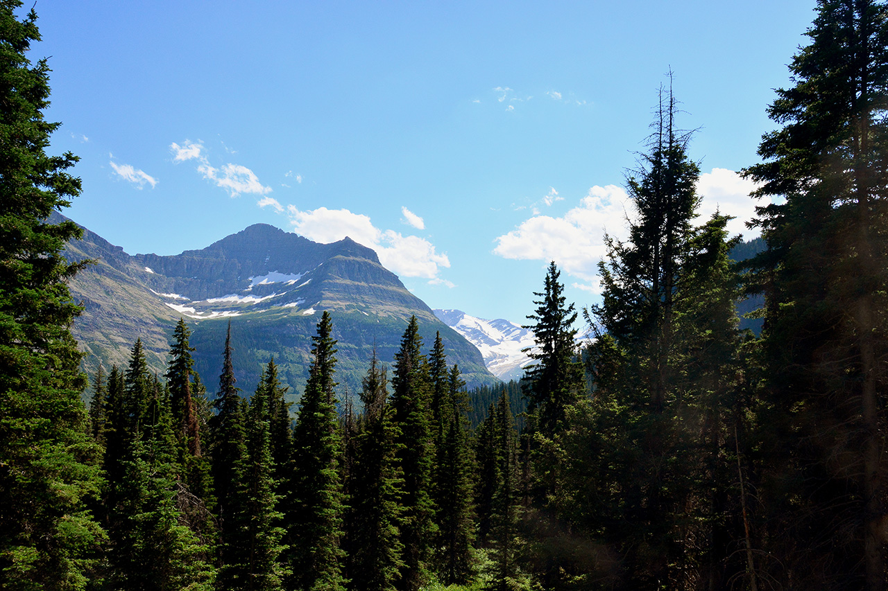 2017-07-13, 034, Glacier National Park, Sun Road