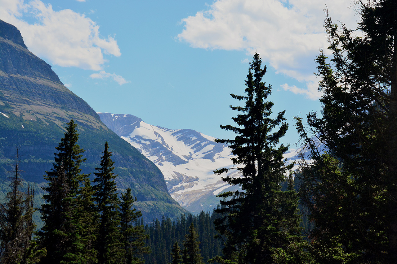 2017-07-13, 035, Glacier National Park, Sun Road