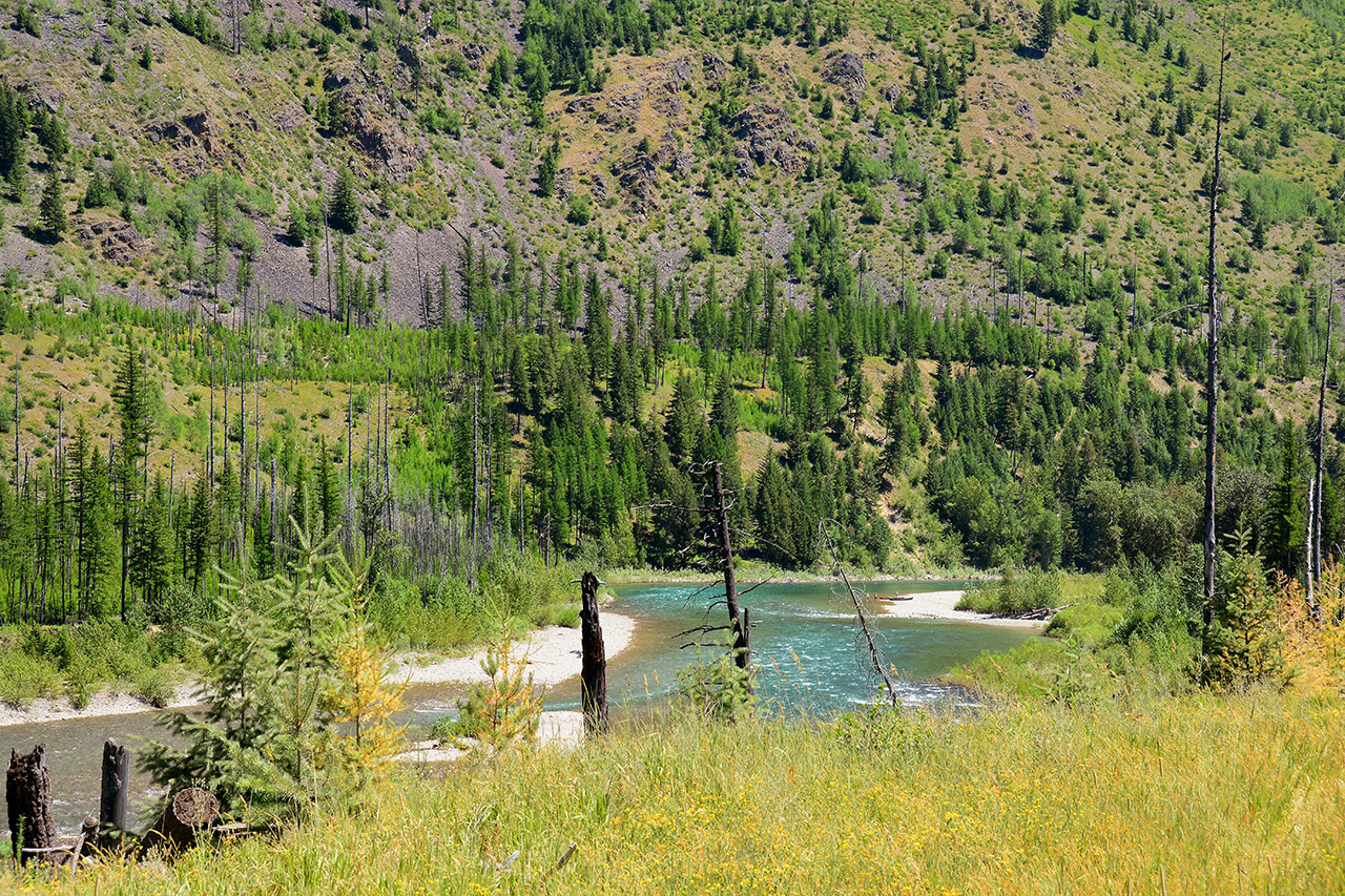 2017-07-14, 006, Glacier National Park, Camas Road