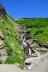 2017-07-13, 020, Glacier National Park, Sun Road