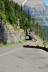 2017-07-13, 029, Glacier National Park, Sun Road