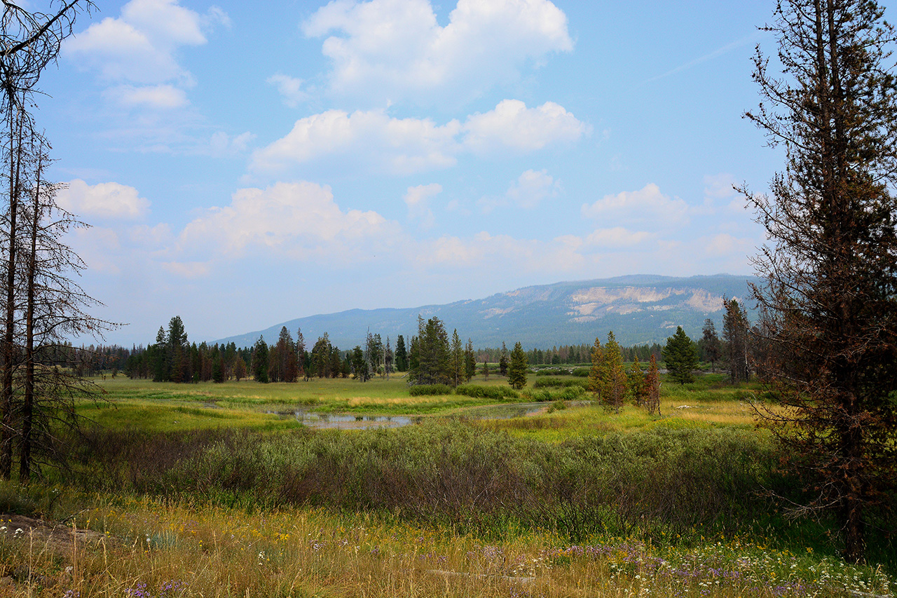 2017-08-07, 014, Ashton-Flagg Ranch Rd, WY