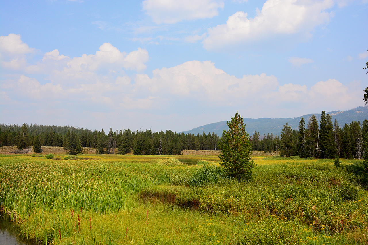 2017-08-07, 017, Ashton-Flagg Ranch Rd, WY