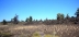 2017-08-22, 016, Craters of the Moon, ID