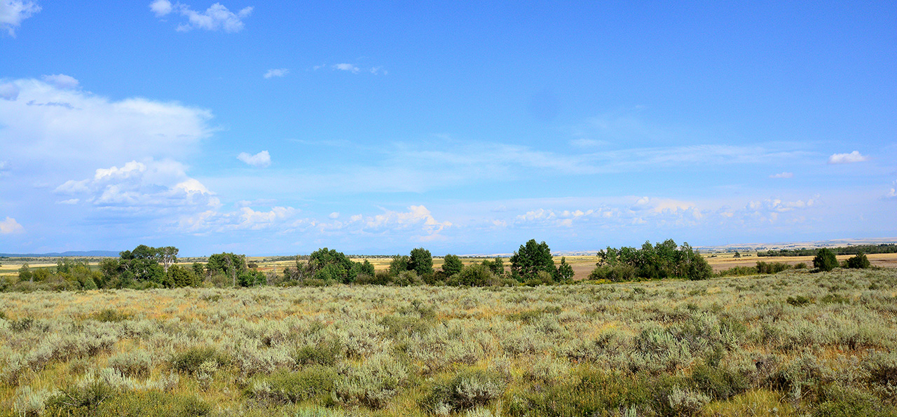 2017-08-17, 002, Teton Valley, ID