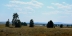 2017-08-17, 022, Teton Valley, ID