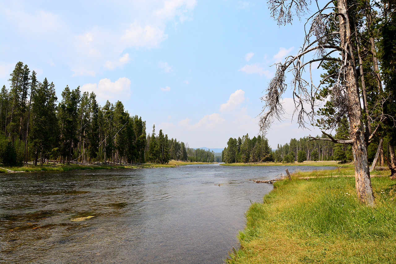 2017-08-05, 003, Yellowstone NP, Along West Loop