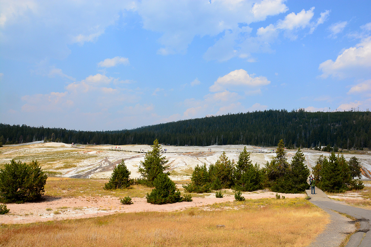 2017-08-05, 021, Yellowstone NP, Anemone Geyser