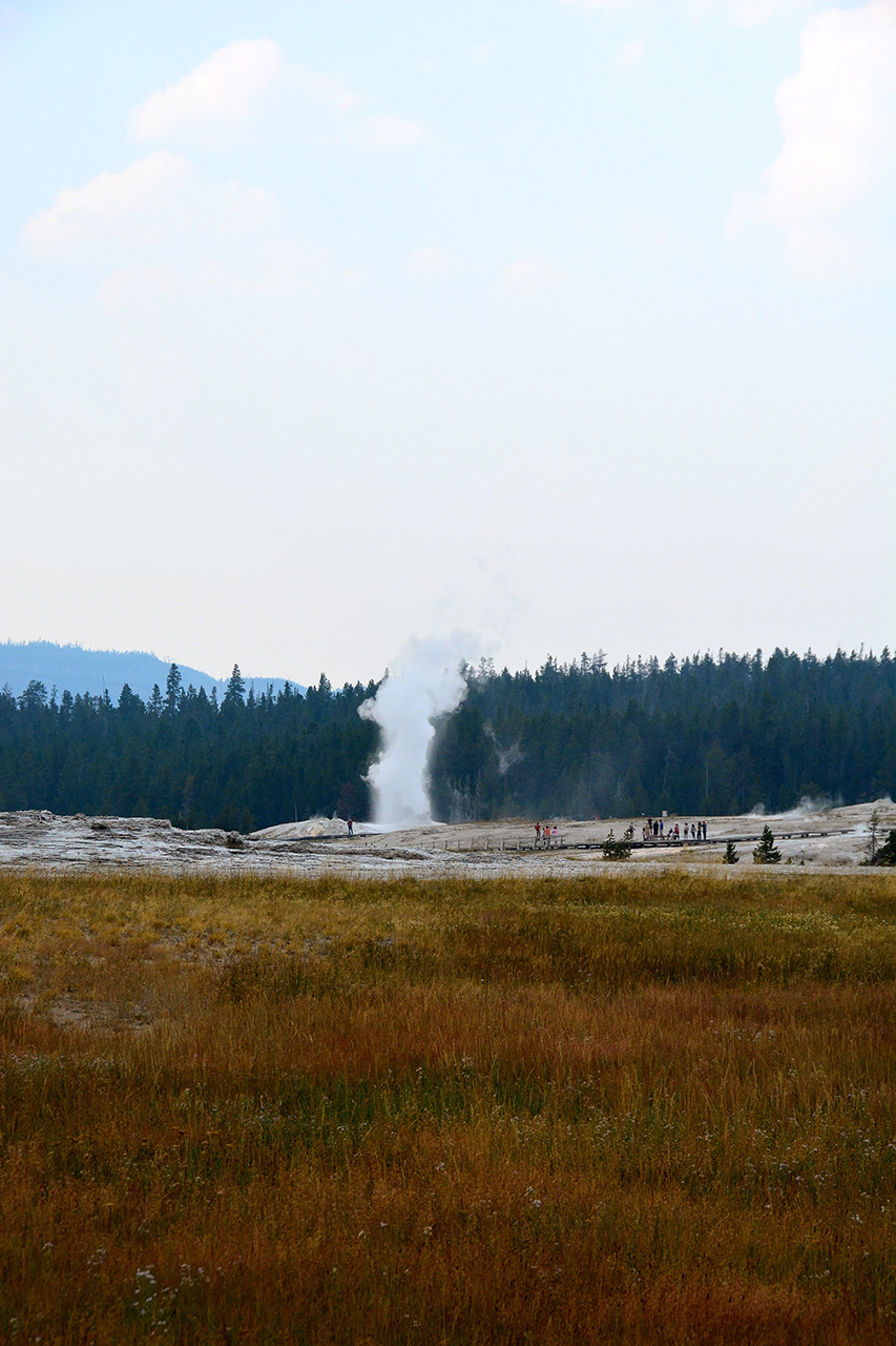 2017-08-05, 023, Yellowstone NP, Anemone Geyser