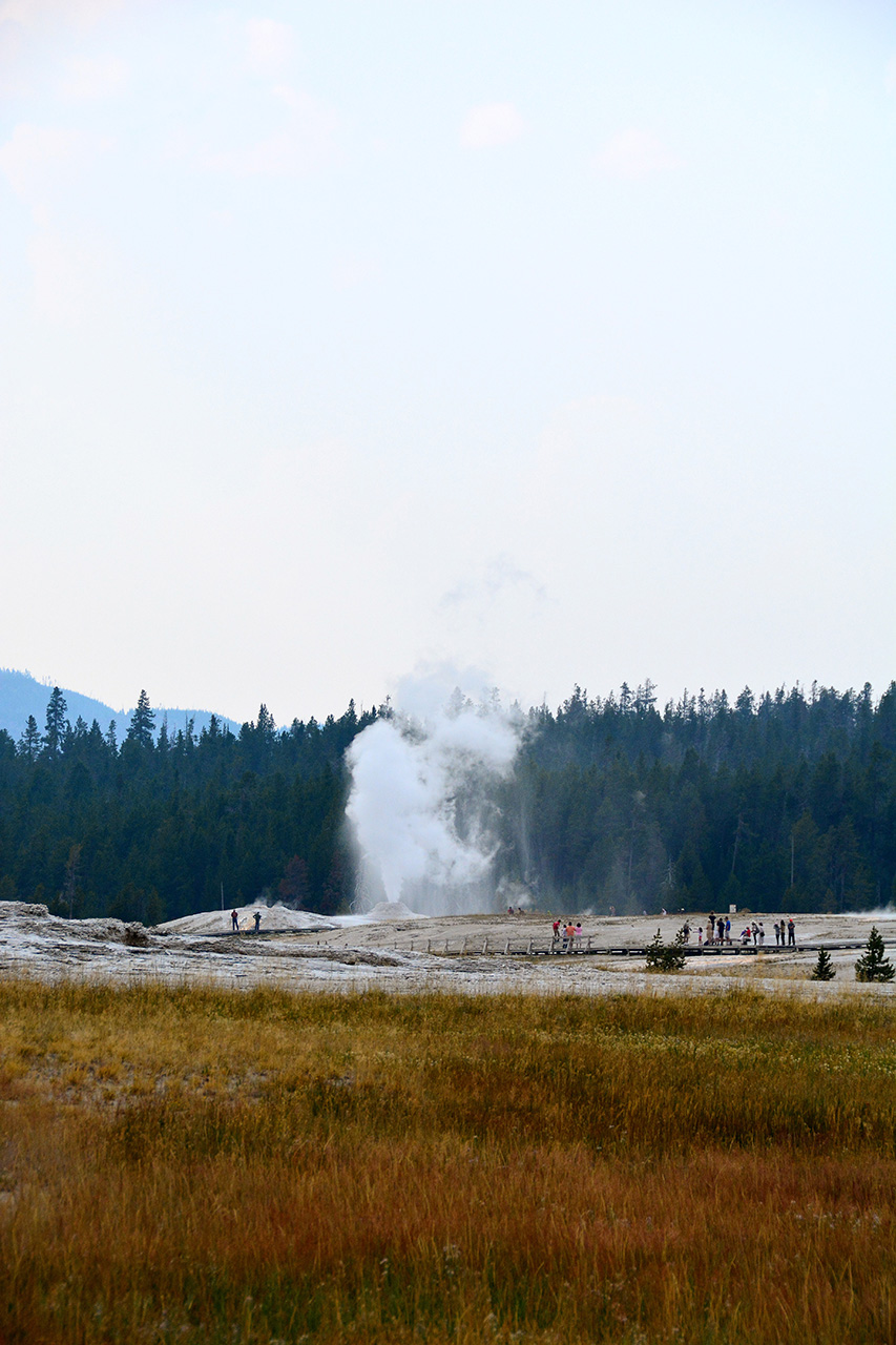2017-08-05, 024, Yellowstone NP, Anemone Geyser