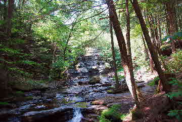 2010-08-03, 005, Dingmans Falls,  PA