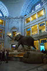 2010-11-01, 057, National Museum of Natural History, Washington, DC