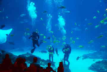 2011-10-27, 031, Georgia Aquarium, Atlanta, GA