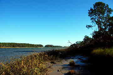 2011-11-05, 016, Along Tail, Skidaway Island Park, GA