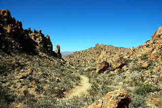 2012-03-11, 010, Grapevine Hills Rd