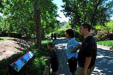 2012-06-22, 038, St. Louis Zoo