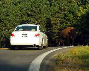 2012-08-21, 008, Wind Cave NP, SD