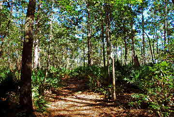 2012-10-29, 001, Various Park Trails