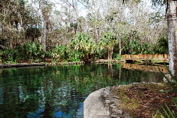 2013-01-16, 003, Wekiwa Springs St Pk