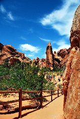 2013-05-18, 083, Devils Garden Trail, Arches NP, UT