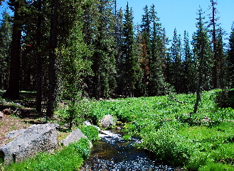 2013-06-30, 011, Paradise Meadow, CA