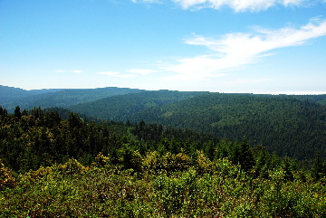 2013-07-08, 006, Redwood Creek Overlook, Redwood NP, CA