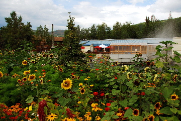 2013-08-04, 007, Chena Hot Springs, Chena, AK