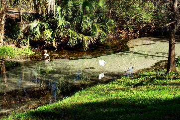 2014-01-09, 010, Along the River