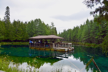 2014-08-16, 003, Big Spring State Park, MI