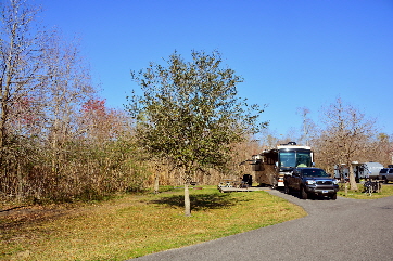 2015-02-14, 001, Bayou Segnette State Park, LA