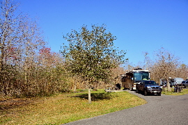 2015-02-14, 001, Bayou Segnette State Park, LA1