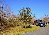 2015-02-14, 001, Bayou Segnette State Park, LA2