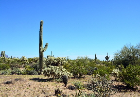 2015-03-26, 002, Tonto National Forest, AZ