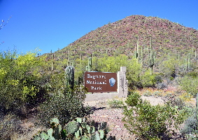 2015-04-08, 001, Hohokam Rd, Saguaro NP, AZ