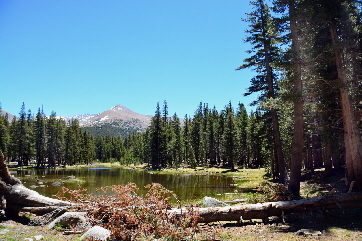 2015-06-15, 013, Yosemite NP, The Meadows