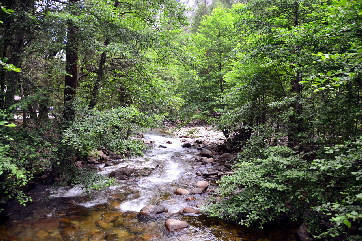 2015-06-29, 011, Yosemite NP, , CA