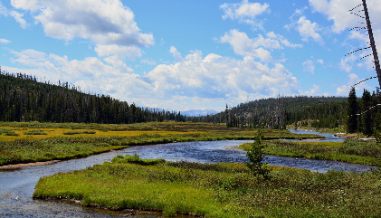 2015-07-24, 026, Yellowstons NP, WY, Lewis Falls Area