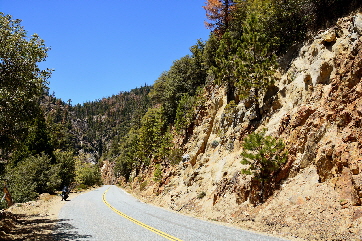 2016-05-19, 011, Ride along Rt 190 & Mtn 50 Sequoia NF