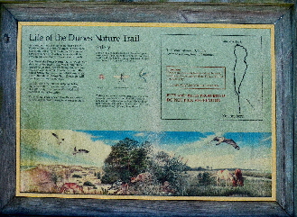 2017-06-13, 001, Dunes Trail at Assateague Island