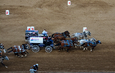 2017-07-09, 071, Calgary Stapede, AB, Chuck Wagon Rasces