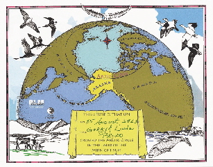 Arctic Circle Cert